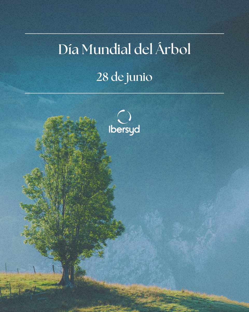 🌳 𝐃í𝐚 𝐌𝐮𝐧𝐝𝐢𝐚𝐥 𝐝𝐞𝐥 Á𝐫𝐛𝐨𝐥 🌳

🌲 El Día Mundial del Árbol es una oportunidad para reflexionar sobre la importancia de los árboles en nuestras vidas y en el equilibrio del planeta.

🌱 Planta un árbol, cuida los bosques existentes y apoya políticas de reforestación.