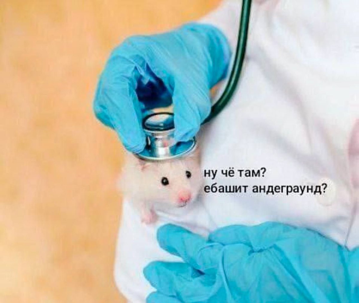 Ты пахнешь пожарами и алкоголем (@nebobrishka) on Twitter photo 