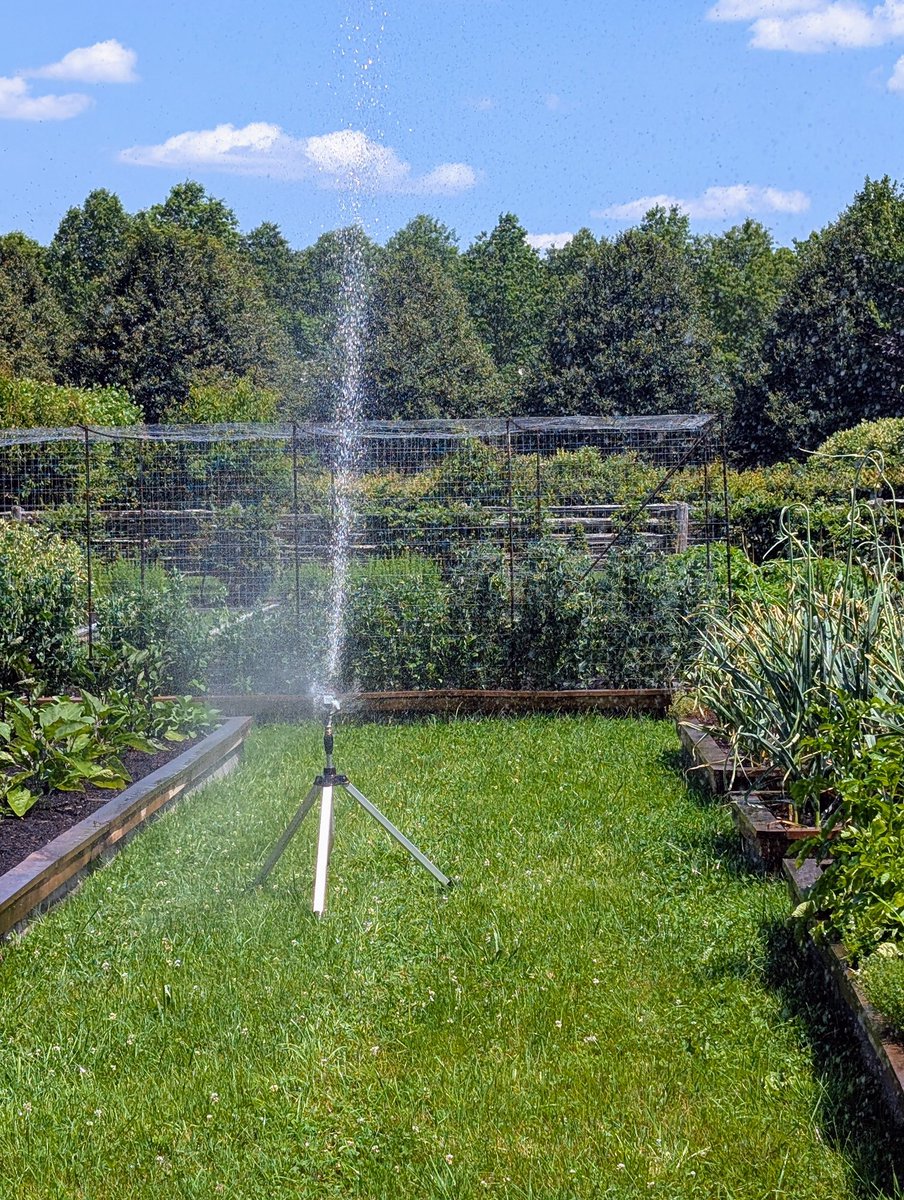 MarthaStewart's tweet photo. Water, water, water… when it’s hot, remember to keep your gardens well-irrigated. Around my farm, I use #gilmour hoses and sprinklers to stay on top of my watering needs. See today’s https://t.co/rZ2hRP1D2i. https://t.co/2RhGhMmB0X