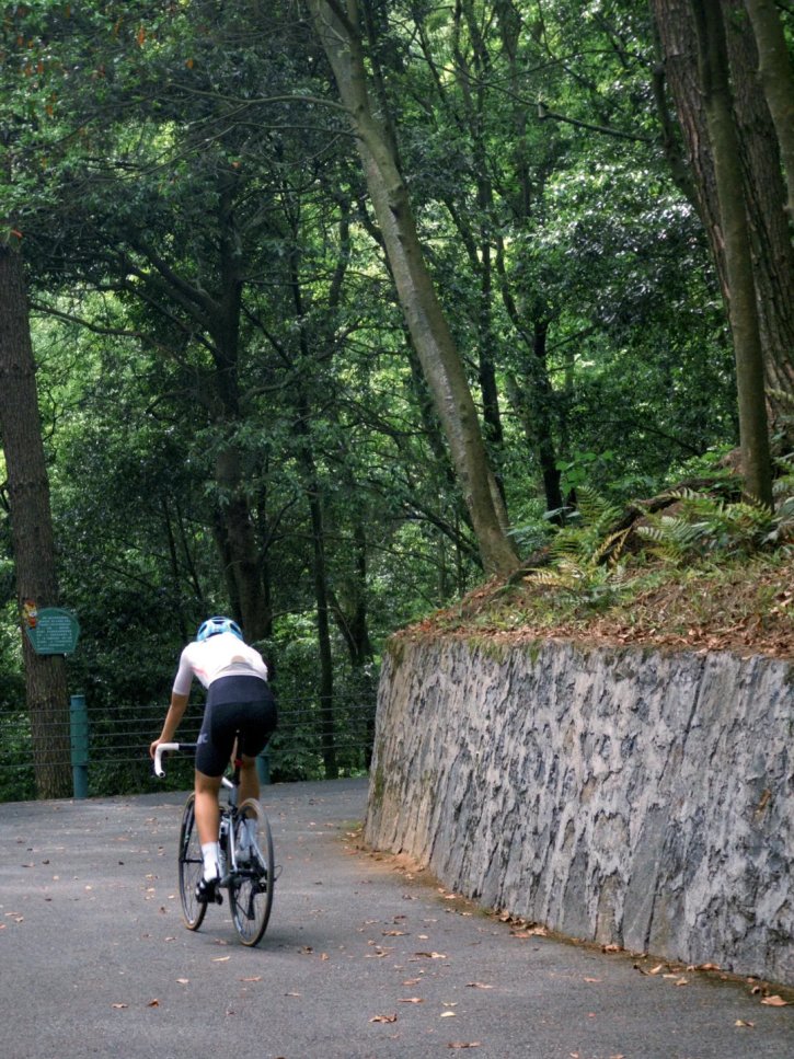 InZunyi's tweet image. 🚵Escape to #Zunyi's Fenghuang Mountain National Forest Park!

Hike or bike through peaceful winding trails, perfect for urban nature lovers and adventure seekers alike. #VisitZunyi