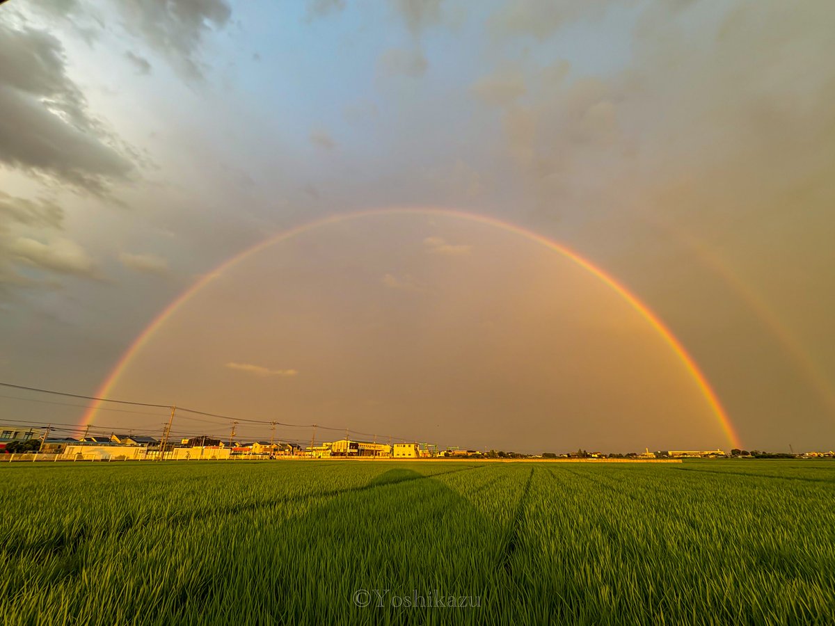 yoshikazu_n's tweet photo. こんな綺麗な虹初めてかも🌈 https://t.co/3iue1K0NBa