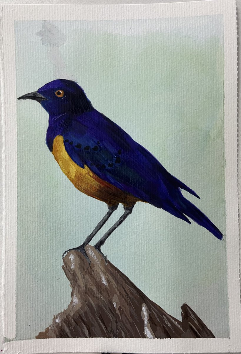 rabiscosdeari's tweet photo. passarinho no mixed media de guache e lápis de cor https://t.co/LS5AU9uN5F