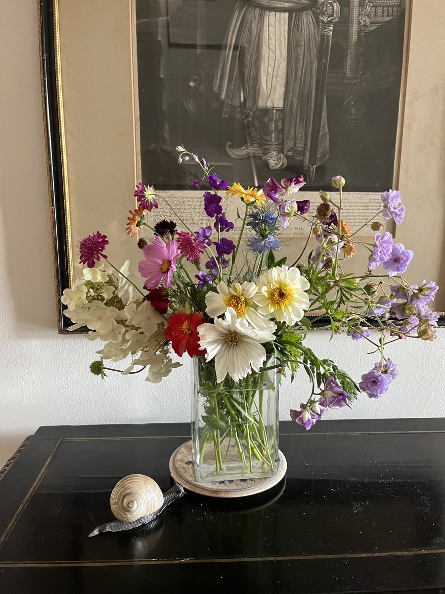 Today’s allotment flowers!