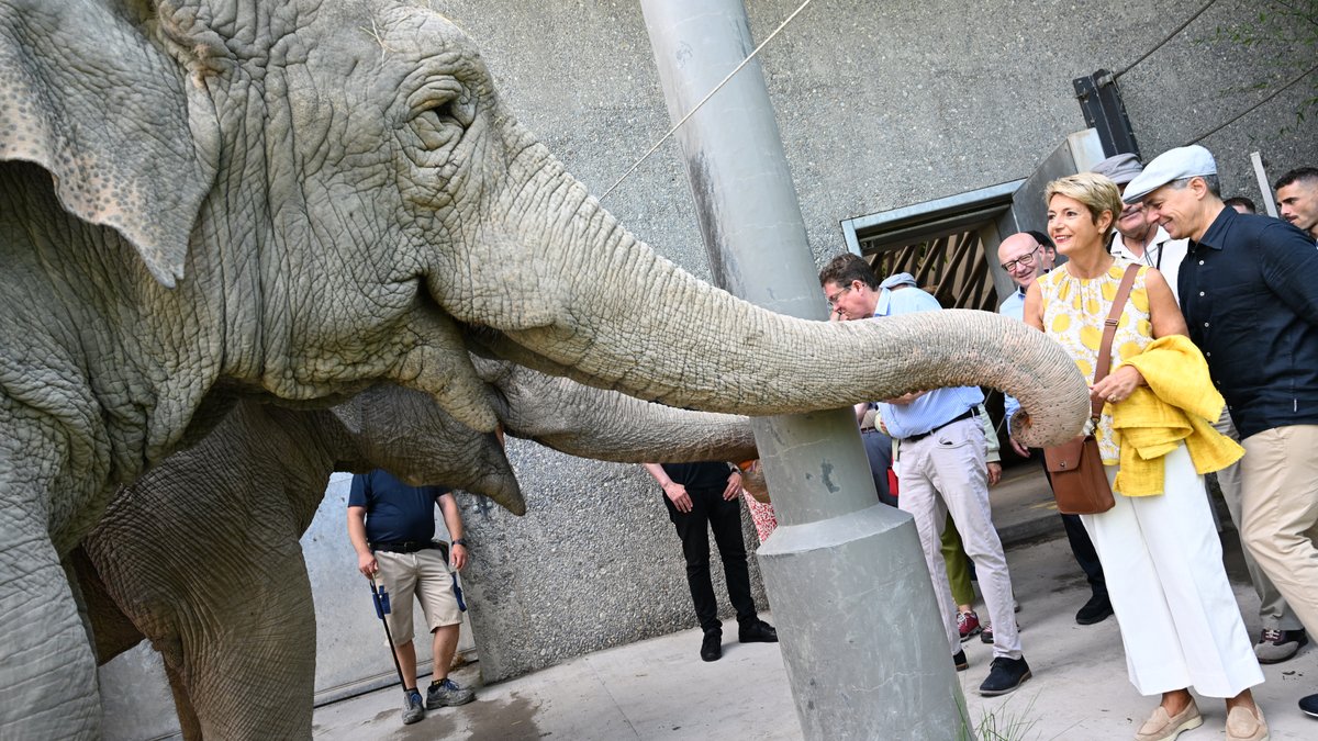 BR_Sprecher's tweet photo. #ExcursionCF Sous le regard curieux des girafes et des éléphants, le Conseil fédéral a visité le zoo Knie #knieskinderzoo 🐘 🦒🎪. La famille Knie a expliqué la riche histoire d’une véritable dynastie du cirque suisse. #BRAusflug #GitaCF https://t.co/wk6AE9PGLS