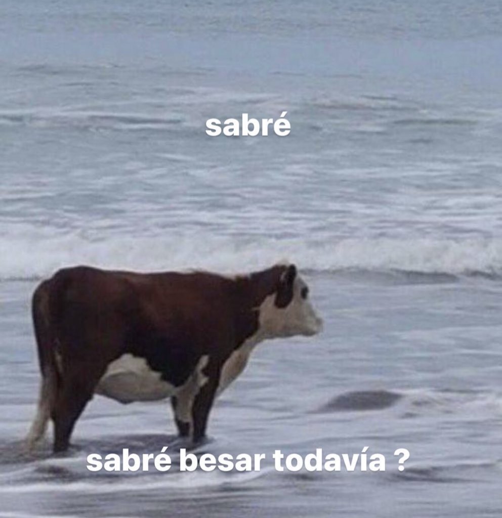 piña sin pizza (@skereunpesado) on Twitter photo 