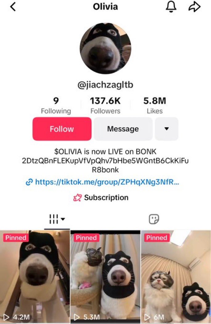 funnydevscc's tweet image. look at $olivia 

dog with mask on bonk 

owner involved in project 

2DtzQBnFLEKupVfVpQhv7bHbe5WGntB6CkKiFuR8bonk