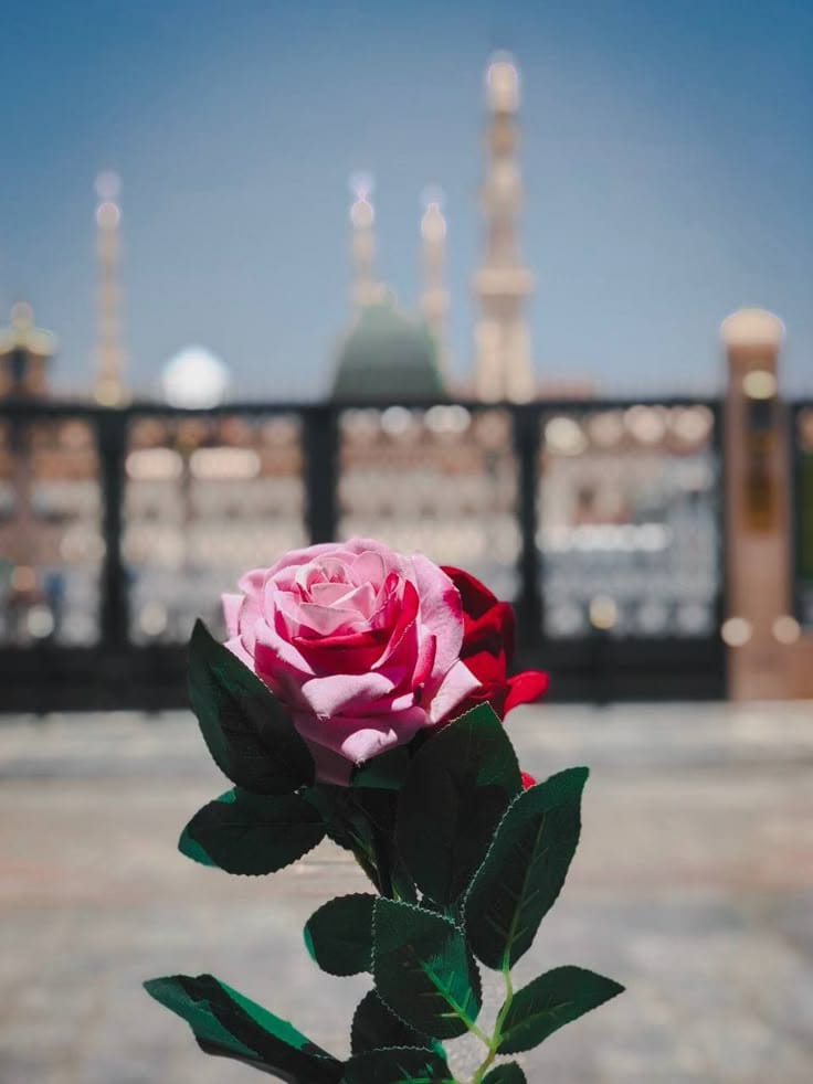 بے شک جس کے دل میں انﷺکی محبت ہے وہ پاکیزہ دل ہے وہ ایمان سے نور سے دین کی روشنی سے بھرا ہوا ہے✨🌸🫀♥️