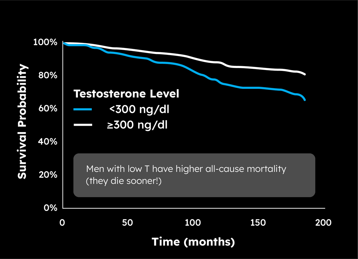 Camp4's tweet image. The Truth About TESTOSTERONE (8 things every man should know)
For 30 years, I’ve been obsessed with health and fitness. It’s paid off—at 54, I’m feeling and performing better than ever.
A couple years ago—after doing a ton of research—I started on testosterone replacement…