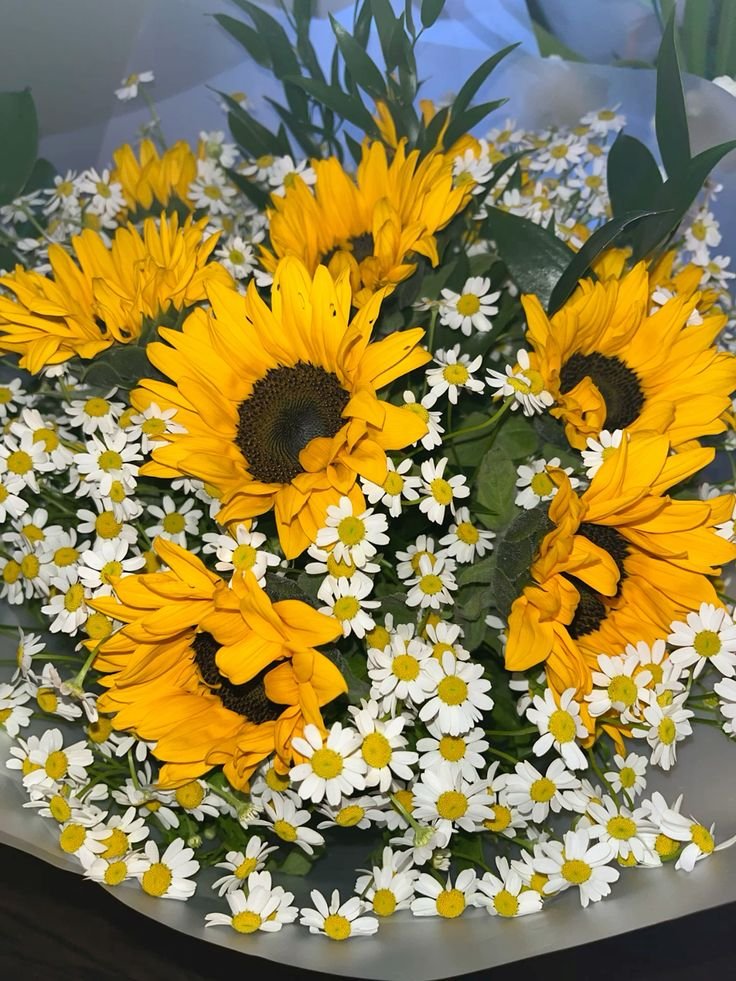 SUNFLOWER 🌻 (@sunflowerchives) on Twitter photo 