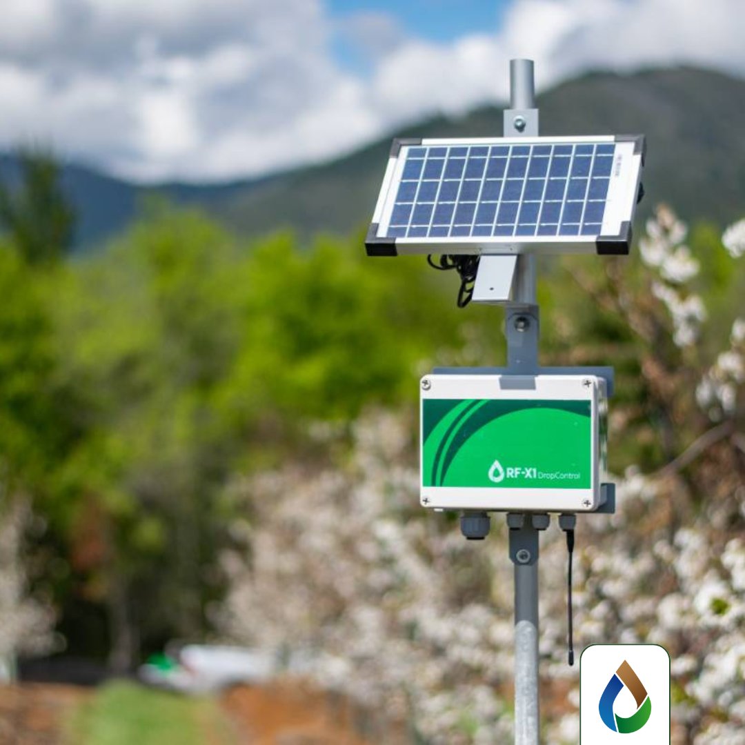 WiseconnEurope's tweet image. Con #DropControl, puoi monitorare in tempo reale le condizioni delle tue colture, irrigare e fertirrigare da remoto, analizzare i dati per decidere quando e come intervenire💧📱
Scopri come ottimizzare la gestione dell’acqua e aumentare l’efficienza delle tue attività in campo!🌱