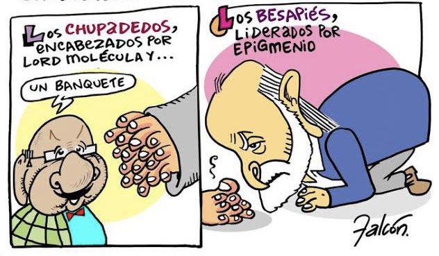 Manuel Falcón (@falconvoy) on Twitter photo 