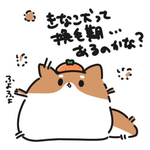 Shibainu fur remov換毛の季節がやってきた! 2022 柴犬抜毛処理 https://t.co/gRV8dGqpWw 
おすすめの換毛期動画 
