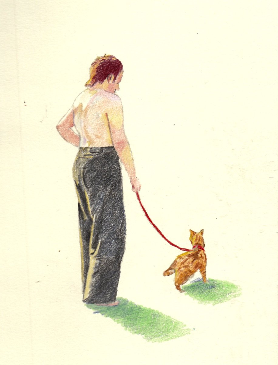 piss_brain's tweet image. walking the cat