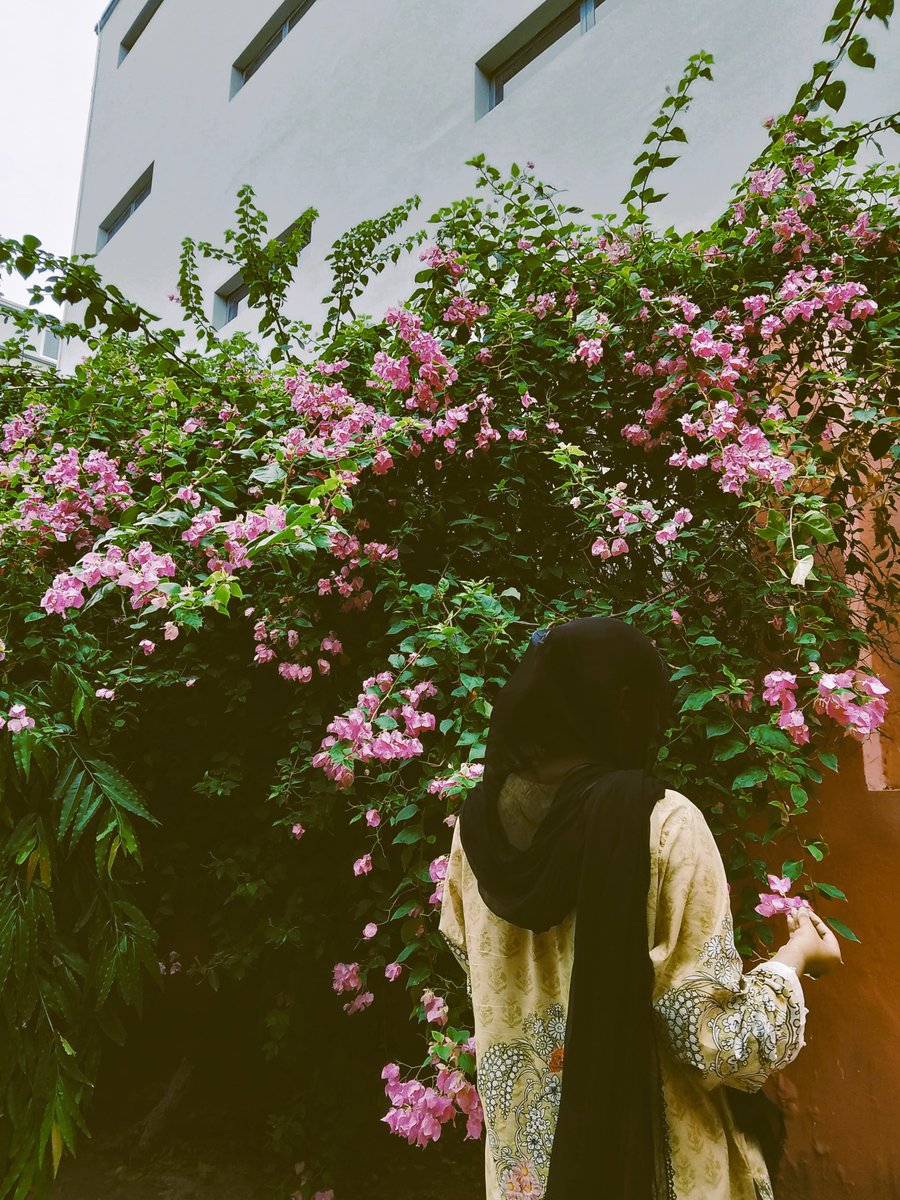 ridabaloch_'s tweet photo. Walking on paths strewn with bougainvillea petals on the first day of monsoon with your childhood friend and emotional support flower plucking gotta be my favorite genre https://t.co/1RTAP4A5lH
