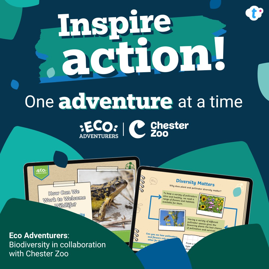 Twinkl Resources tweet media