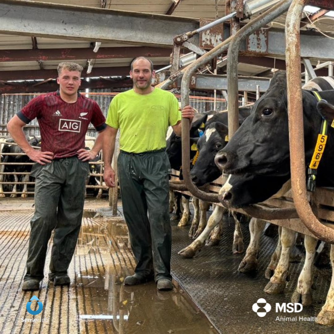 SenseHub Ireland tweet media