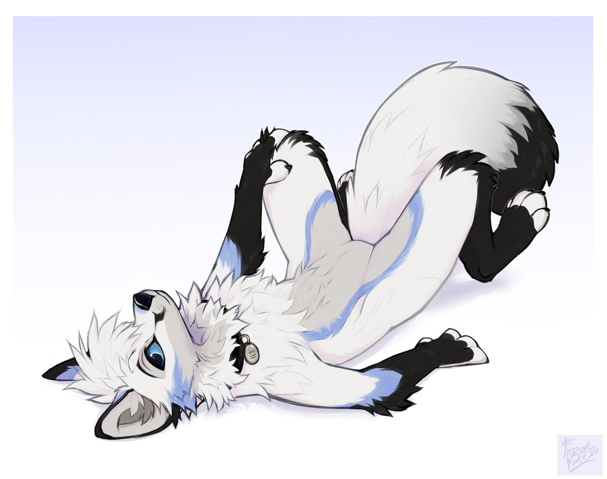 ⋆｡°✩｡°⟡⭒