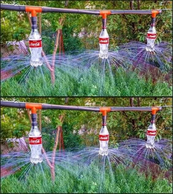 Agronomme_'s tweet photo. Great idea 💡 https://t.co/QmYnkk8Vf7
