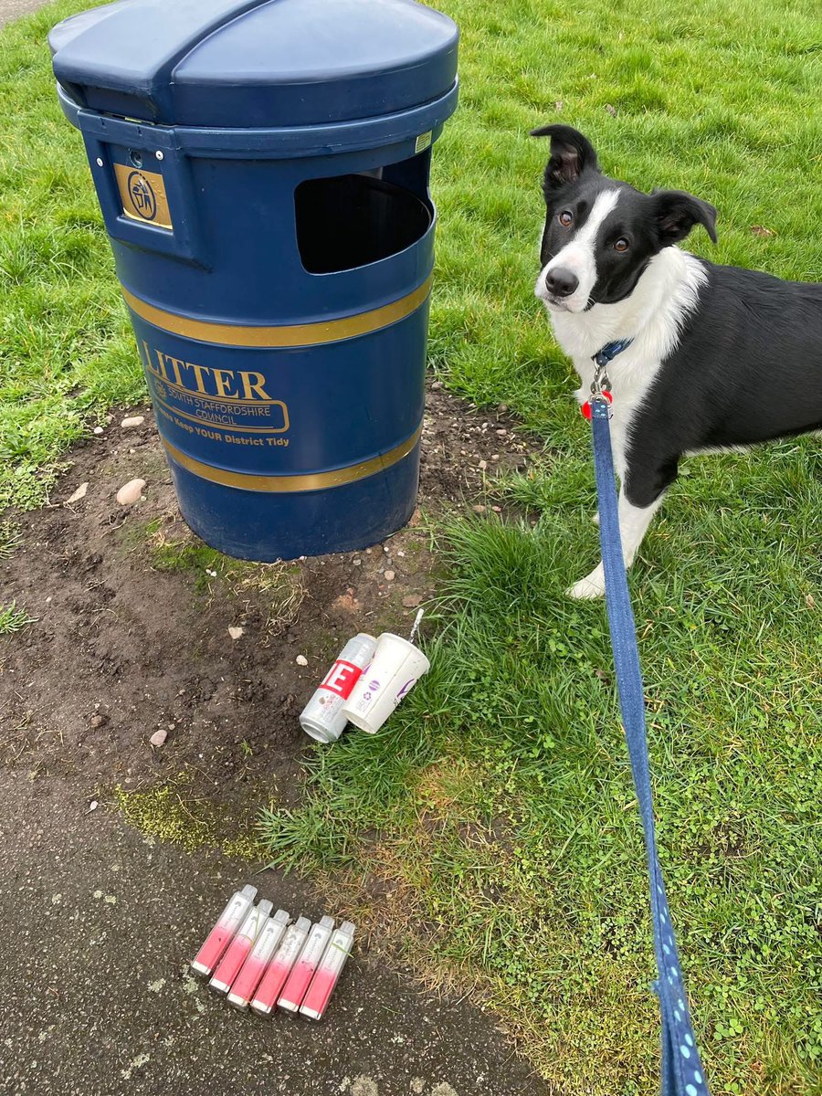 pawsonplastic's tweet image. Our charity promotes the simple but effective idea of using dog walks as a chance to pick up a few bits of #litter. 28,000 dog owners in over 70 countries removing over 40 million bits of litter every year

With 12 million dogs in the UK alone imagine the impact if we all did it.