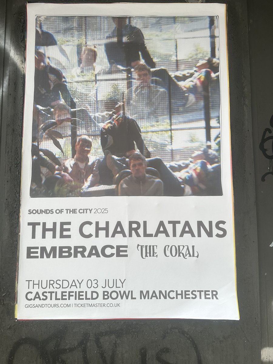 Tim Burgess tweet media