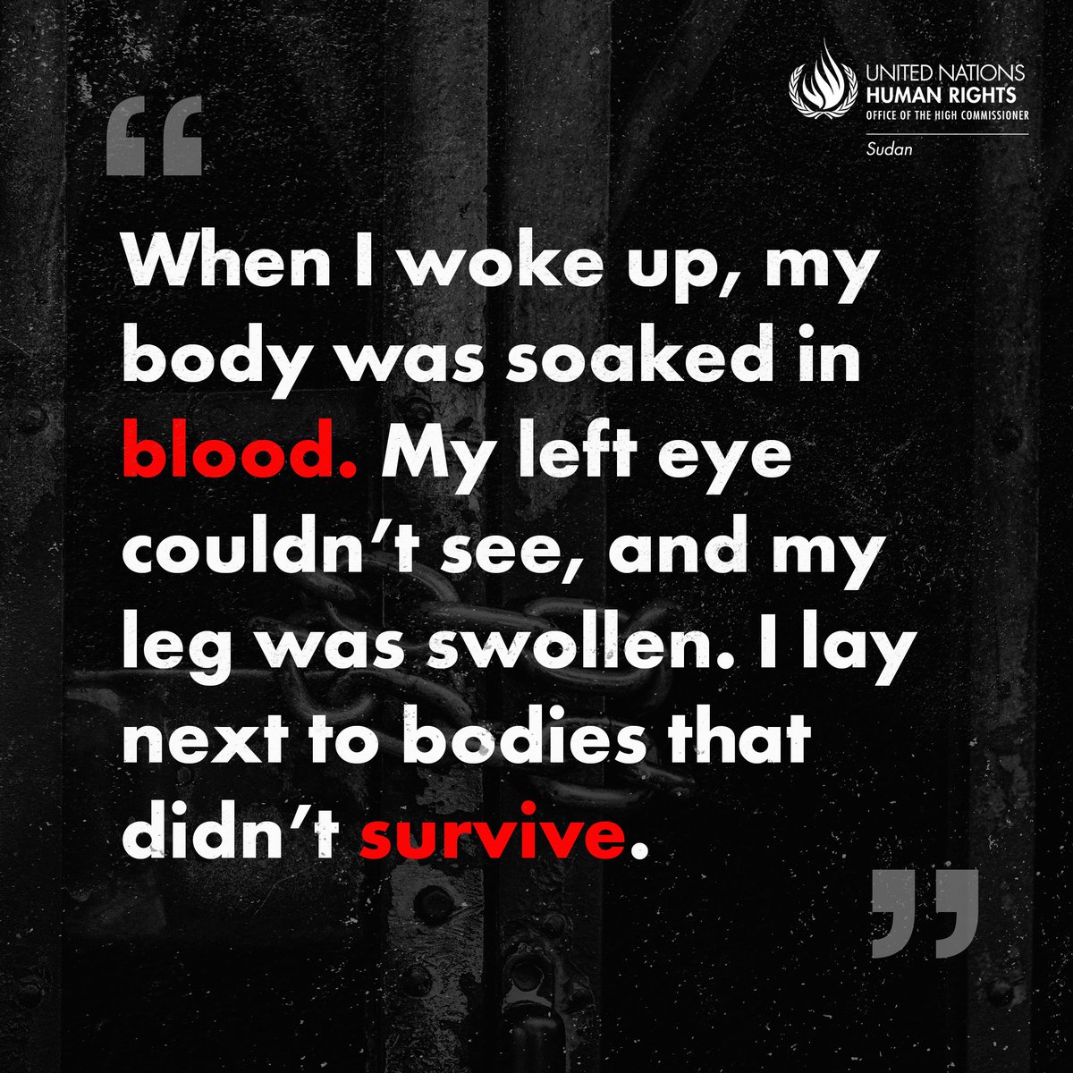 OHCHR_Sudan's tweet image. On this International Day in Support of Victims of Torture, we remind the world: in #Sudan, torture is not history, it is happening now.
Thousands detained, abused, and silenced in the shadows of war.
Read their stories: bit.ly/4nibxtg