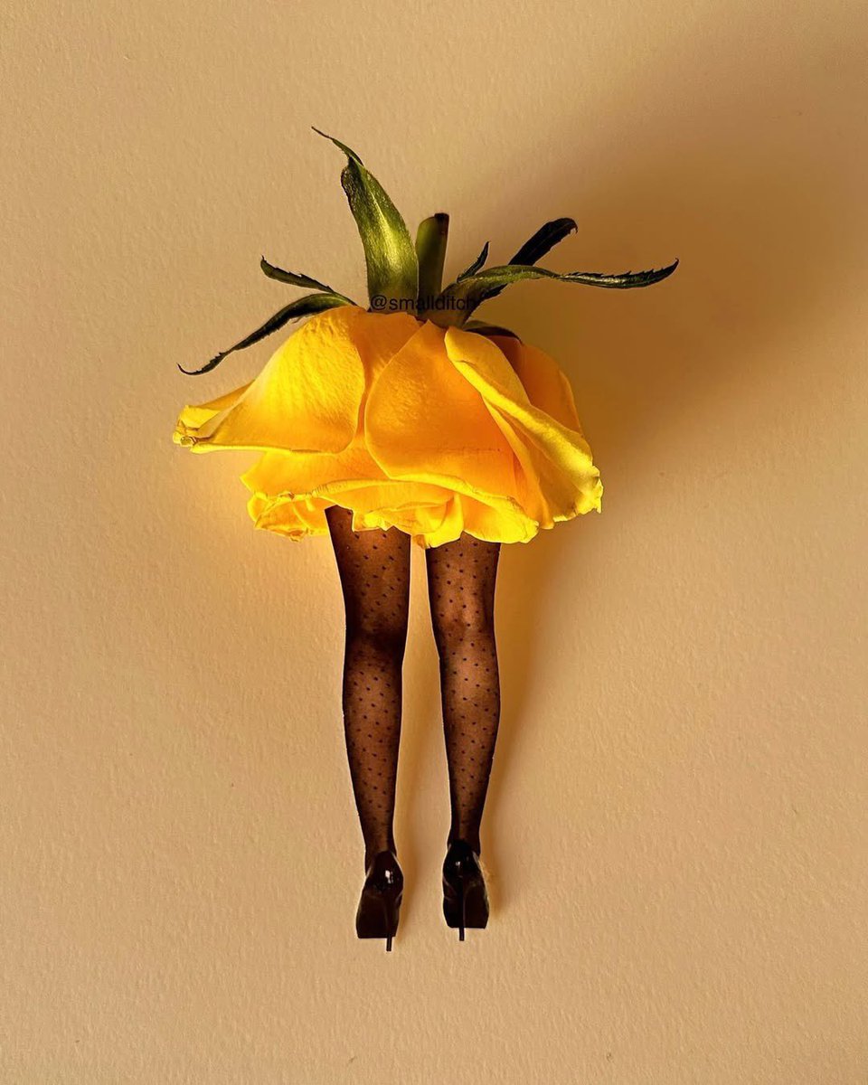 hoovufinds's tweet photo. We’re smitten by these whimsical collages by Martha Haversham (@smallditch), part of her delightful #trashion series, where found objects meet fashion, flora, and photography.
A charming celebration of petals, play, and pointy heels 🌸✨
#hoovufinds #floralfashion https://t.co/idcq3oryXl