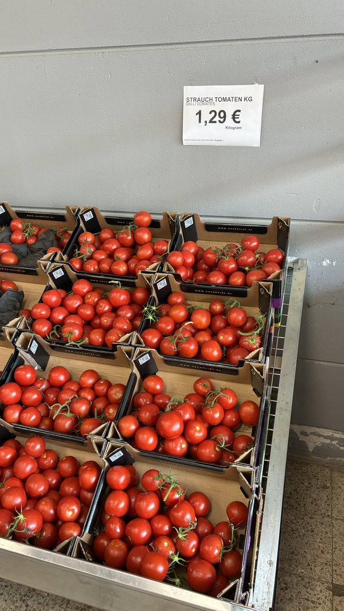 Güney Cüceloğlu tweet media