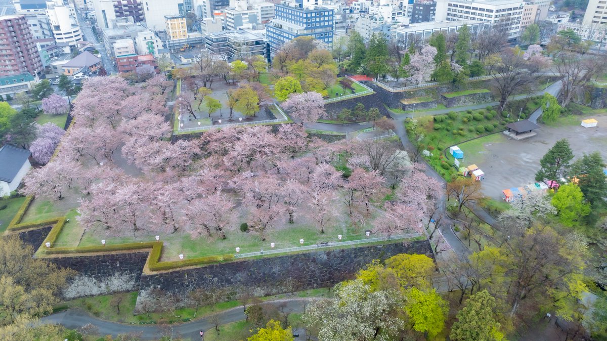 いつもありがとうございます。
本日NHK総合にて放送されました「日本最強の城スペシャル」に、郡上八幡城、津和野城、盛岡城の映像を提供させて頂きました。