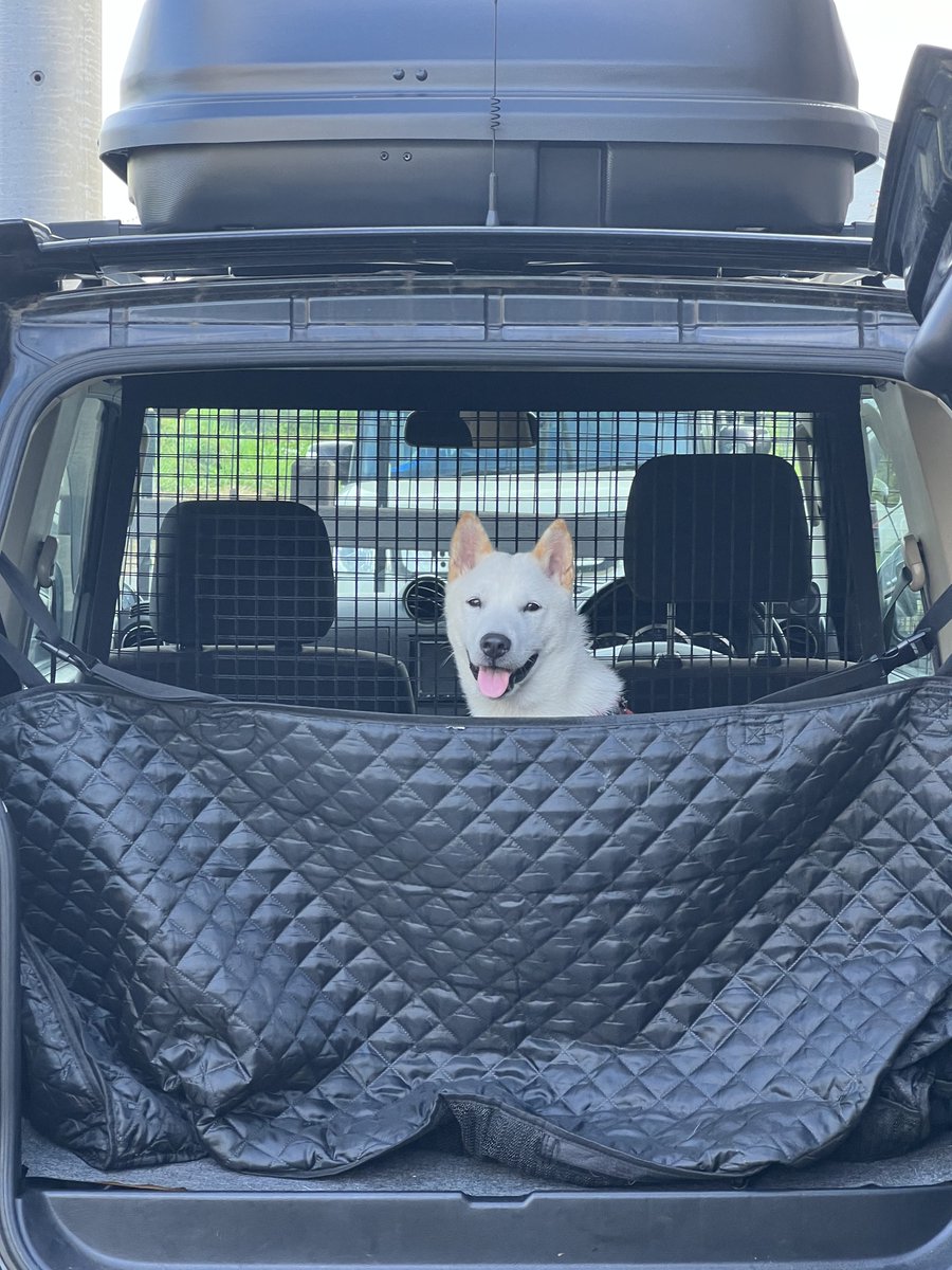 DaStraatosphere tweet media