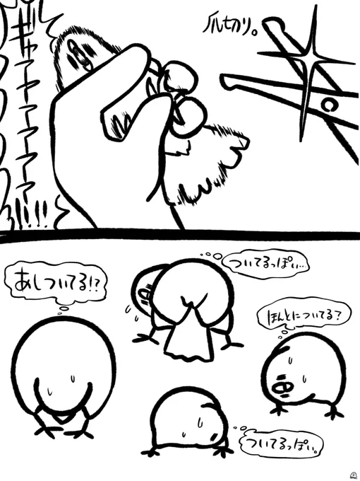 【定期】爪切りしました✂️ 