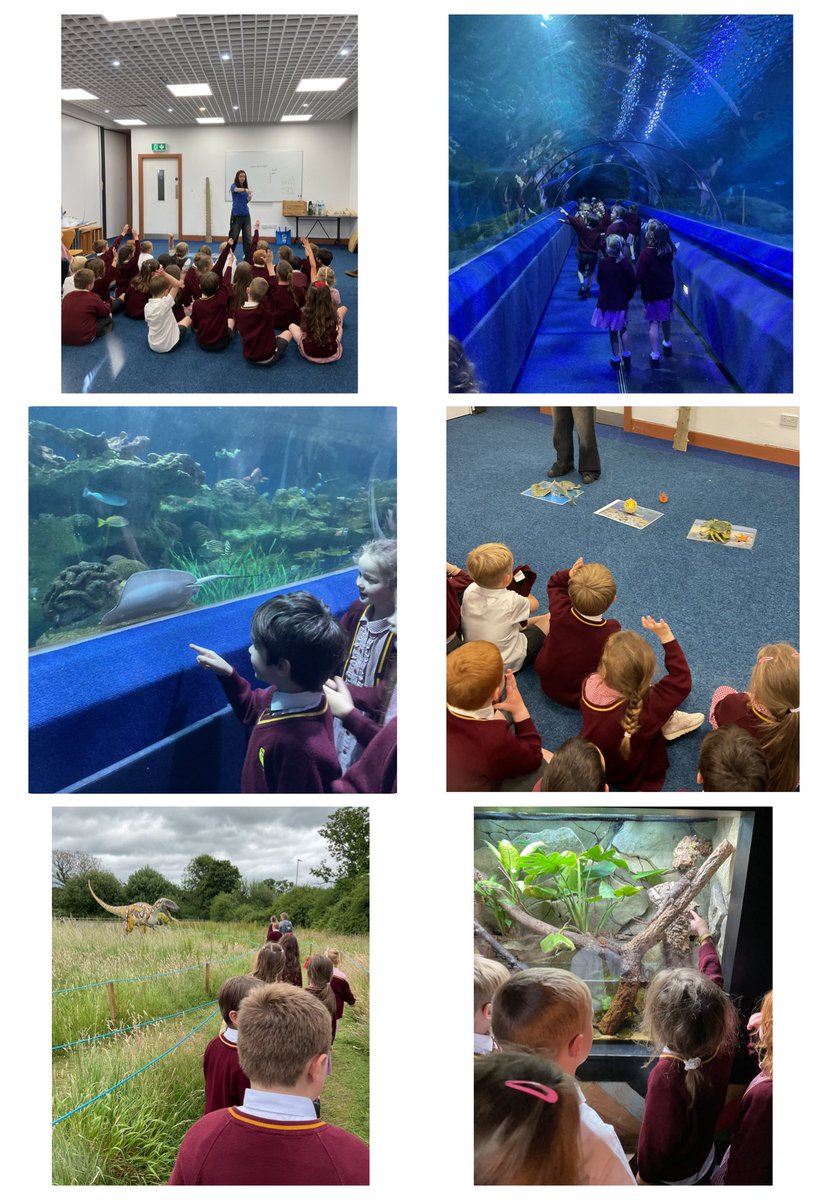 What. A. DAY! Year 1 had SO much fun at Blue Planet Aquarium. Here is just a snapshot of all of the fun we had! 🦈🐠🐡