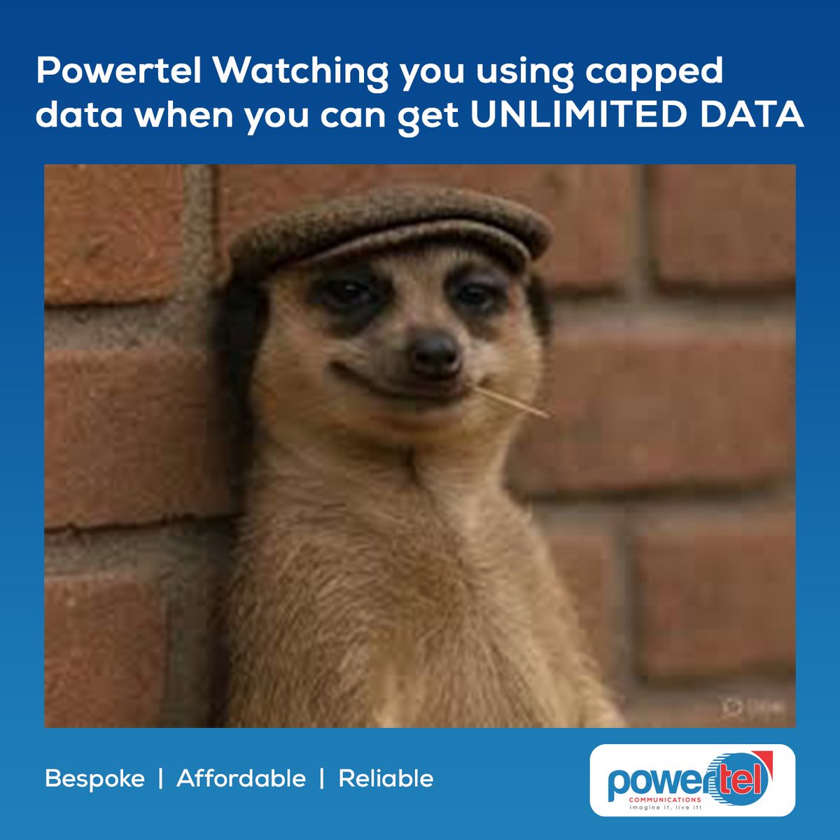 PowerTel Zimbabwe (@powertelzw) on Twitter photo Need reliable connectivity that goes the distance? Powertel is your answer! Contact sales@powertel.co.zw and let's connect! Need reliable connectivity that goes the distance? Powertel is your answer! Contact sales@powertel.co.zw and let's connect!