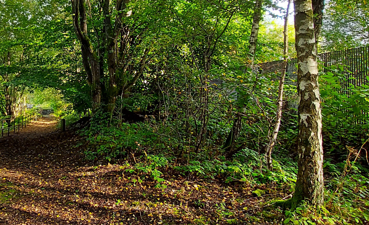 Our legendary Den Building is back for summer!

Come build your own den in the woods with help from our team. Once it's done, settle in with a game, a book or a picnic!

Running July 3, 10, 14, 17, 24, 28 &amp; Aug 4, 7

Book today: ow.ly/CIzy50WcFb1