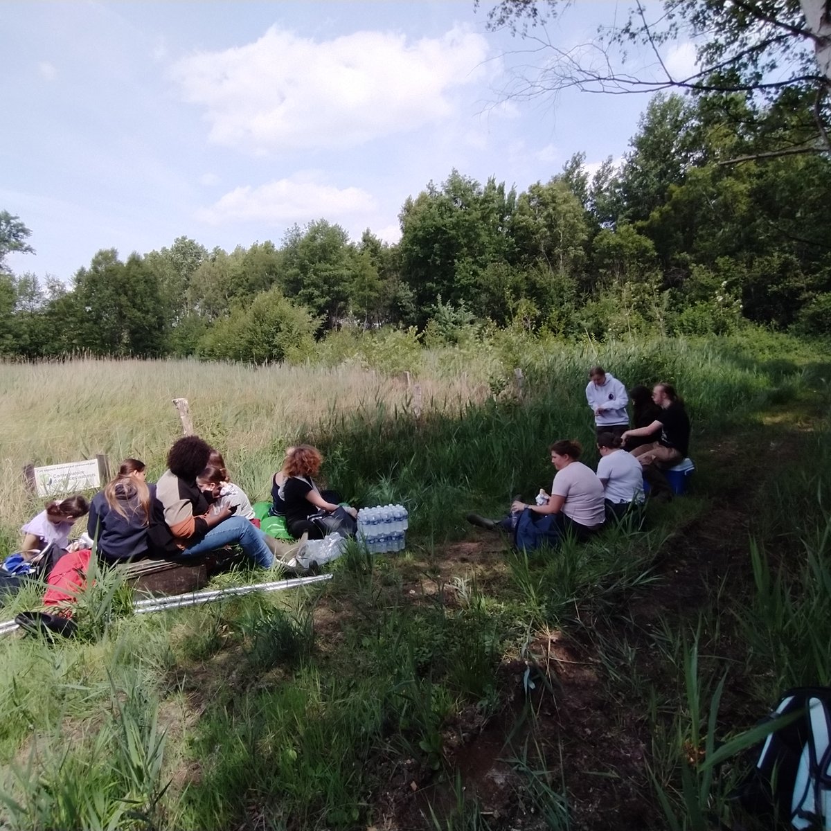 lpaaumont's tweet photo. A première vue c'est plutôt un chantier "détruisons la nature" plutôt que "restaurons l'ecosystème"!!

Couper  les bouleaux avec des sécateurs, les écorcer pour les dévitaliser, ce  sont des techniques pour lutter contre la fermeture des milieux  naturels. https://t.co/tHwXeEI5qu
