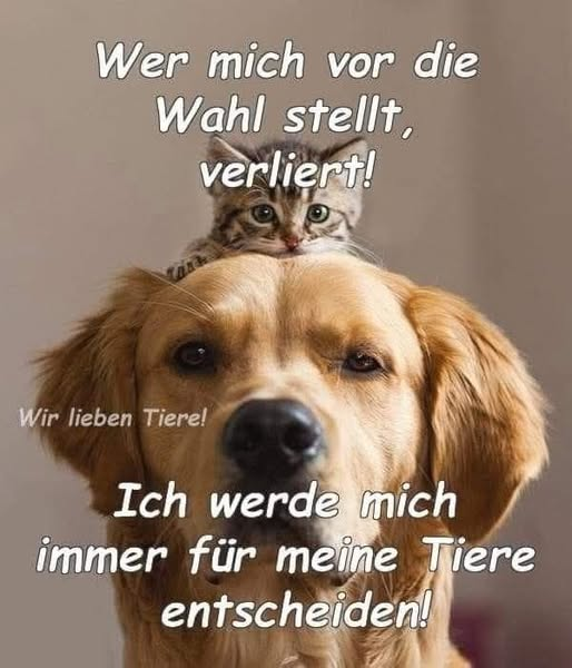 auf alle Fälle werde ich mich für meine Tiere entscheiden, dann würde ein eventueller neuer partner sofort in die Wüste geschickt!