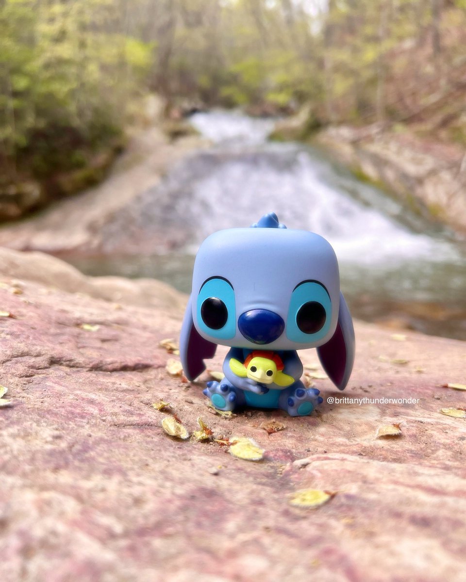 BThunderWonder's tweet photo. 💙Stitch💙 #Stitch #Stitch626 #Funko #StitchDay #FunkoPhoto #FunkoPop #FunkoPhotoADay #FunkoPhotography #FunkoLife #FunkoFun #LiloandStitch https://t.co/weITLiTxxO