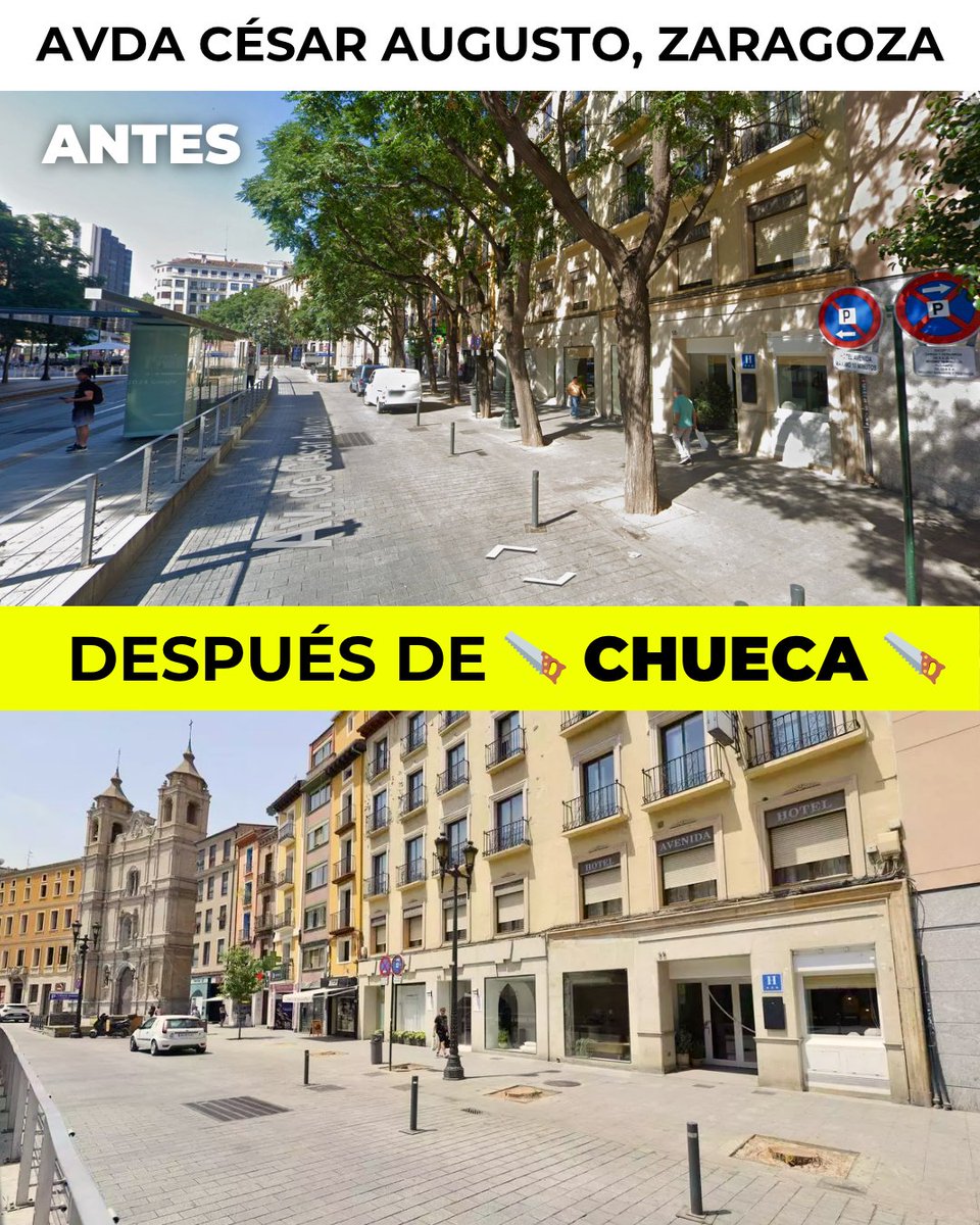 MOTOSIERRAS CHUECA al acecho en Zaragoza

¿Quieres sombra? Te la pagas, pesao