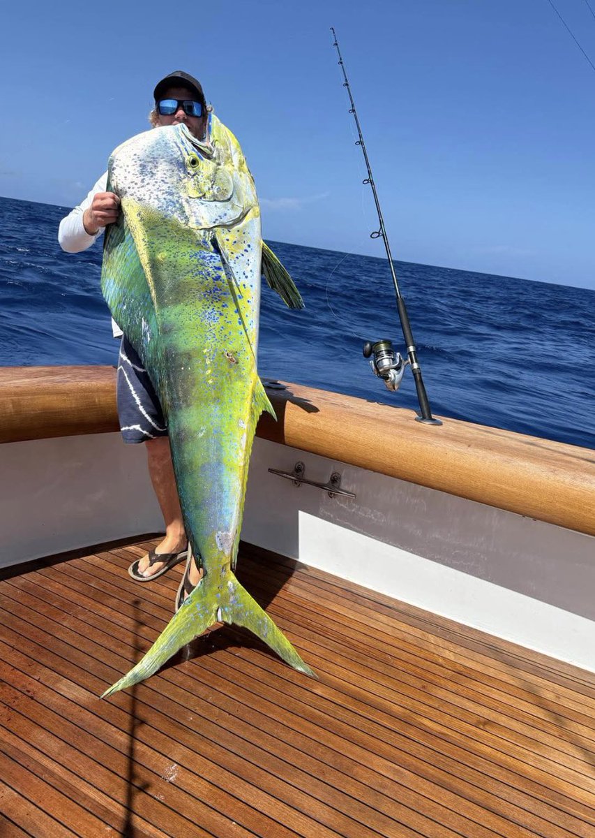 BahamasSportFishing tweet media