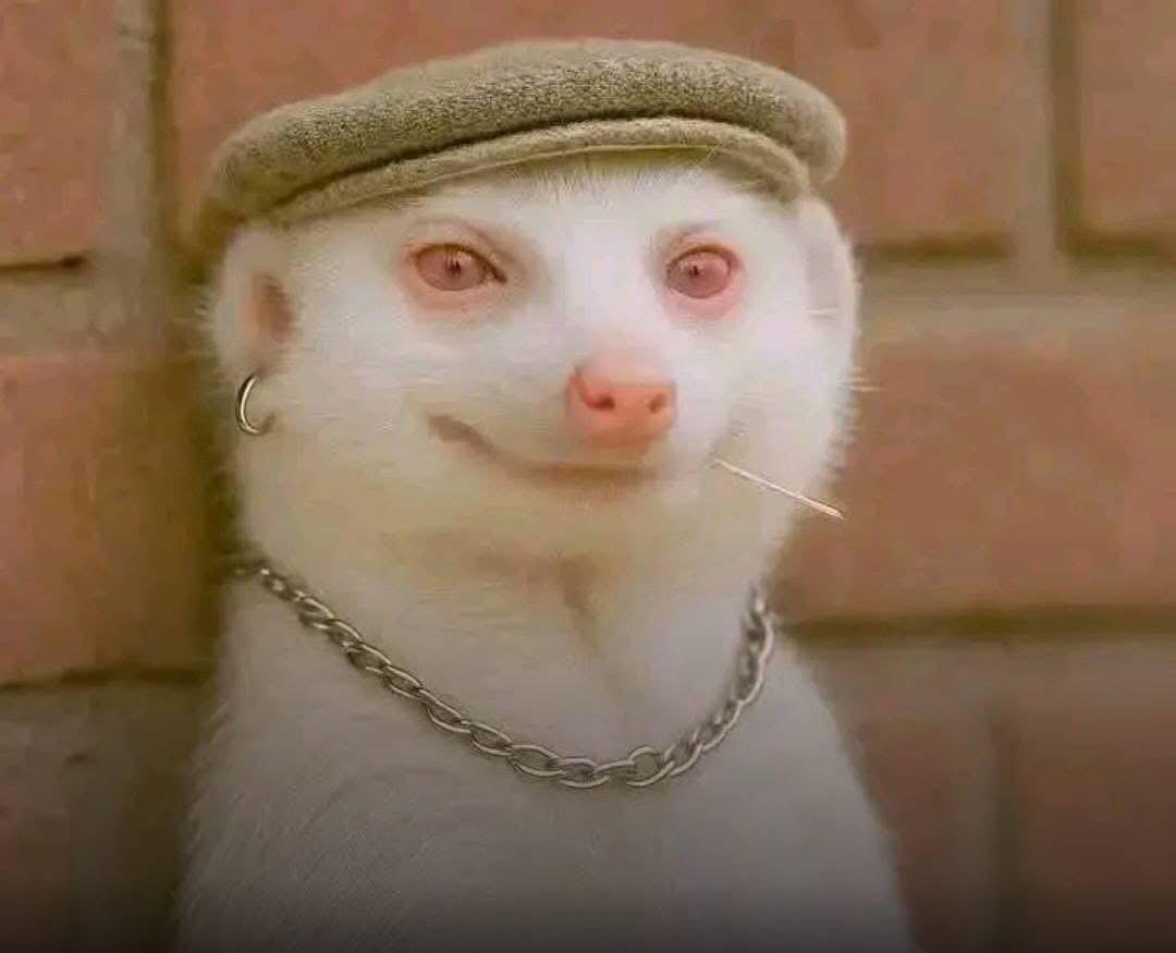 Going on a date with a girl you met on tinder.                                                                                  Bill