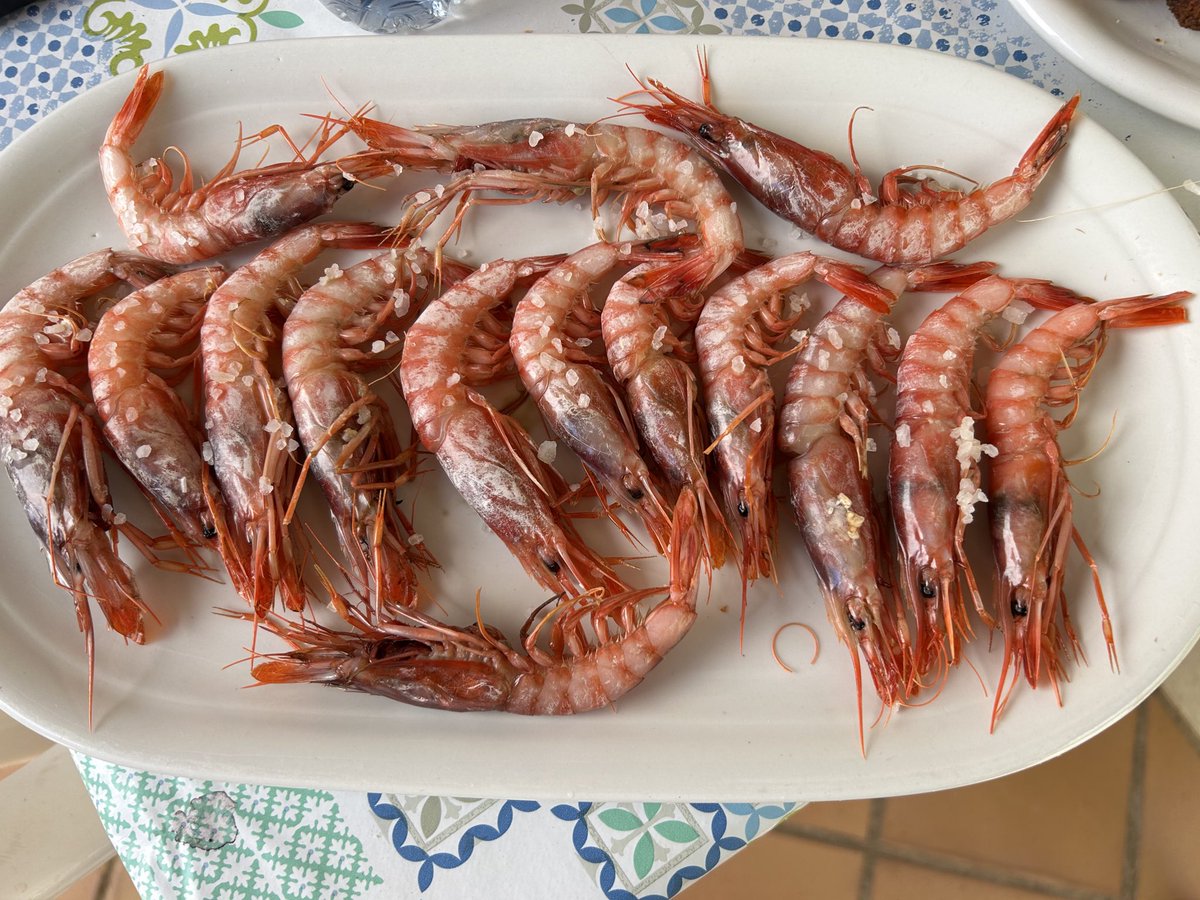 Sin sortear, la que caiga 🦐🦐