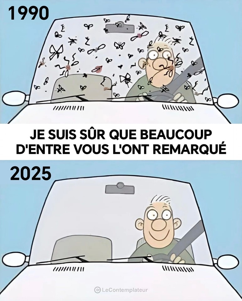 Le Contemplateur tweet media