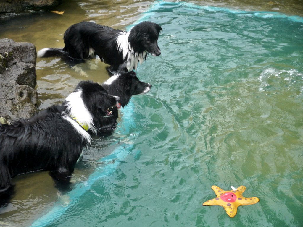 みかどん tweet media