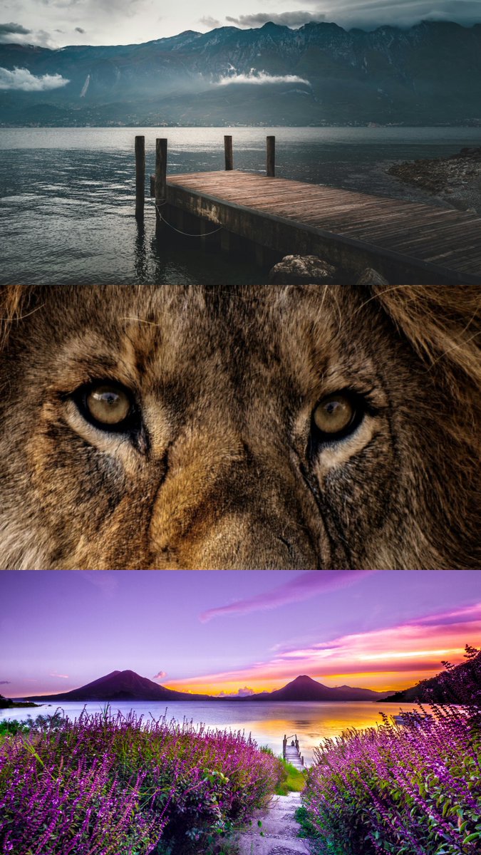 Relnolds's tweet photo. “How do y’all make pics like this”

took a few hours yesterday and built a tool that does it perfectly  in 3 clicks

hopefully the last time someone asks for steps😅

Try it 👉 https://t.co/ATjKc8iS5n https://t.co/CDdNFlnCGh