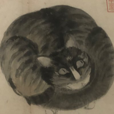 馬交王🇲🇴 tweet media