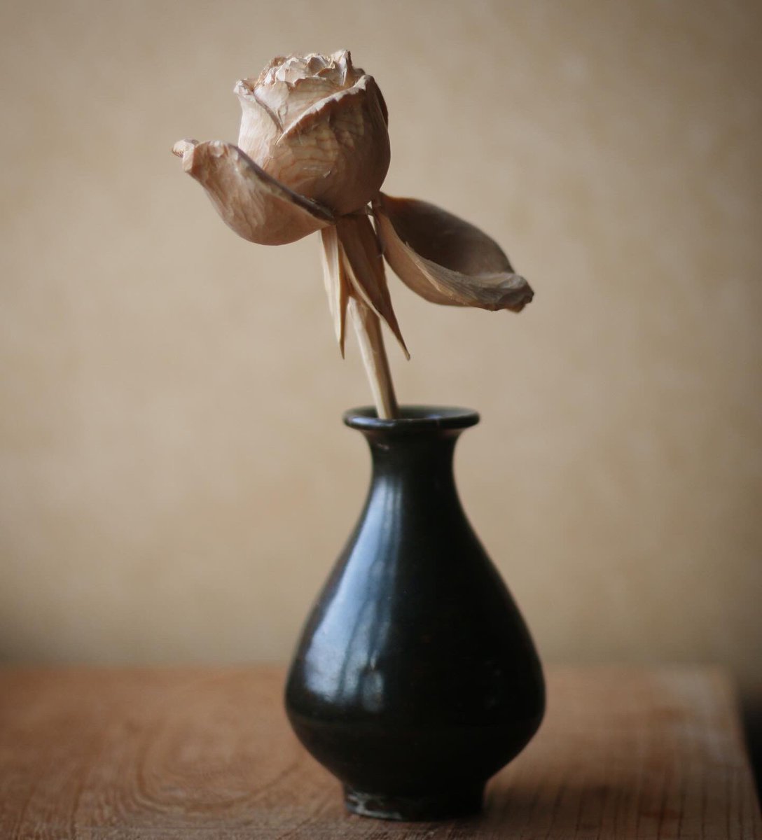butsubutsu15's tweet photo. 薔薇を見ないで彫ってみました

本来ならば、世界中の花びらのシワや、小さく裂けた形はどれ一つとして同じものはないのですが、想像で彫ると、同じ配置でシワを作り、同じ場所に裂けた感じを表現してしまう

いろんな形の花びらを描いたり彫ったりするのだと思いますが、自然な姿で表現するのは難しい https://t.co/LTk84Vb48e