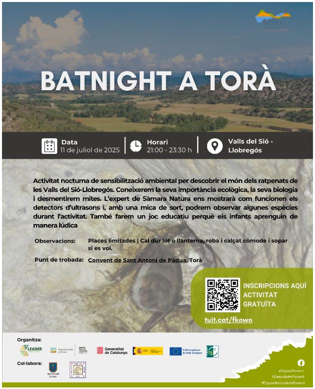 Nit de ratpenats