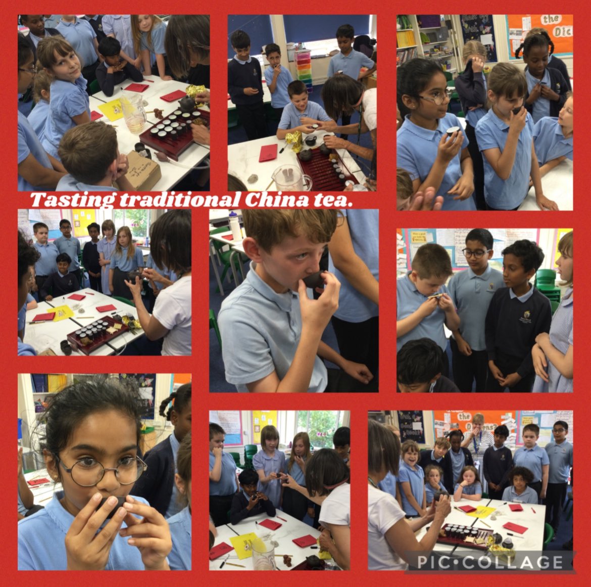 Perry Wood Primary tweet media