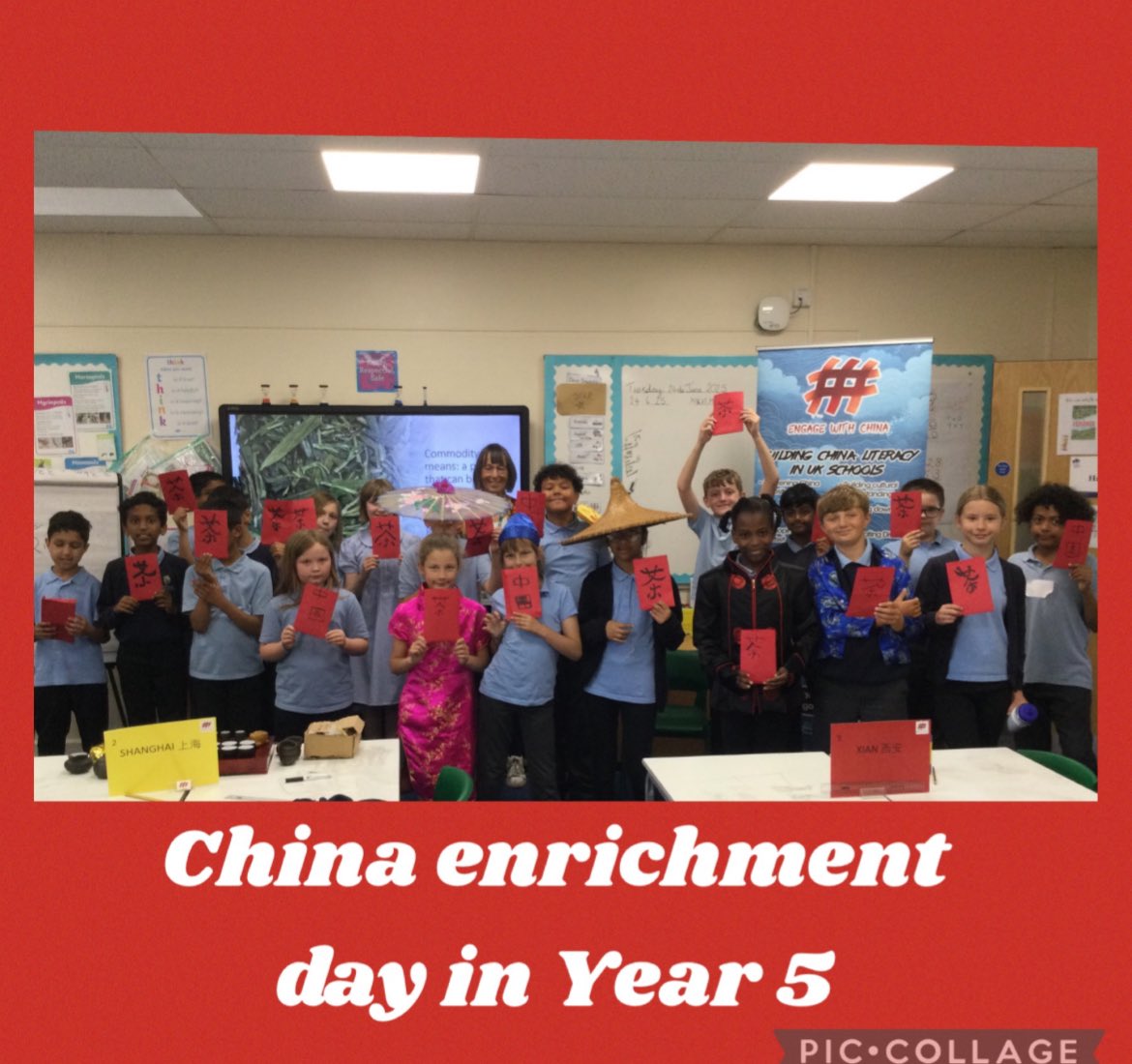 Perry Wood Primary tweet media