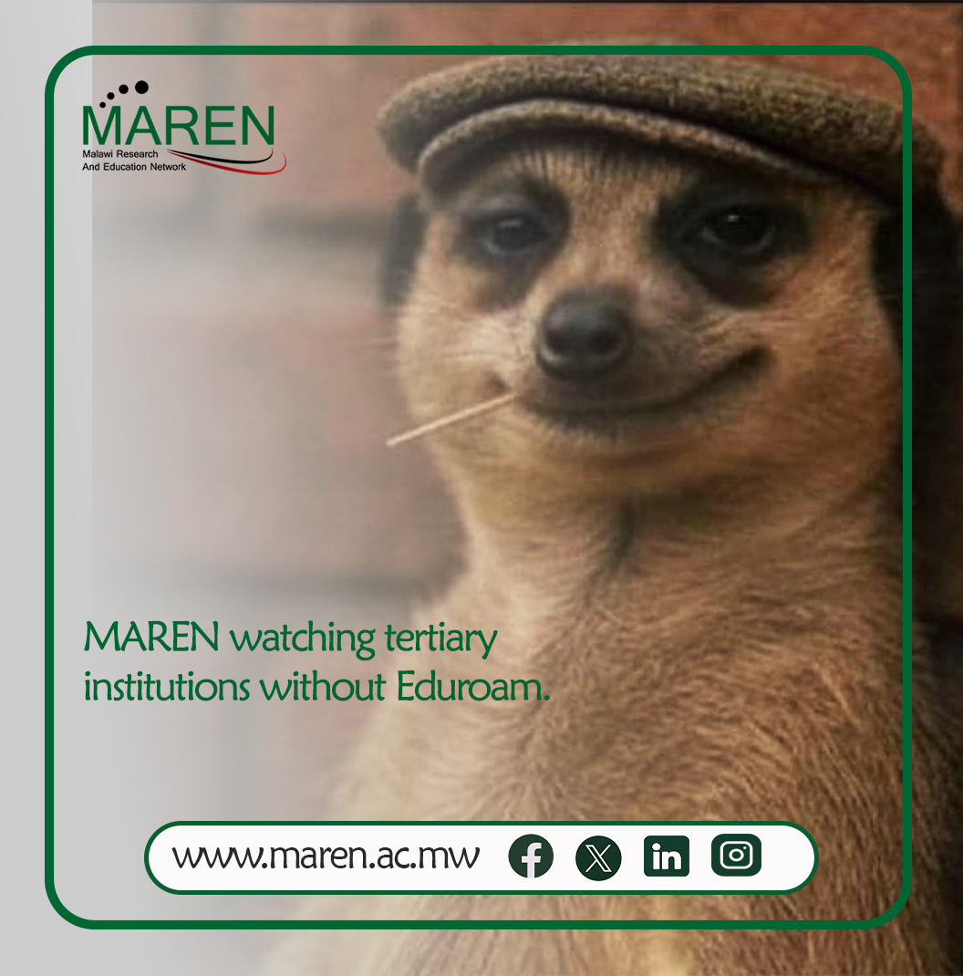 MAREN (@maren_net) on Twitter photo 