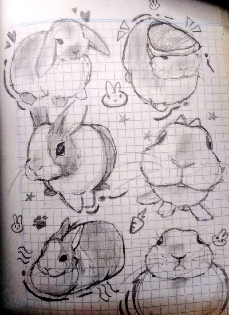 Conejitos 
💜🐇🐰